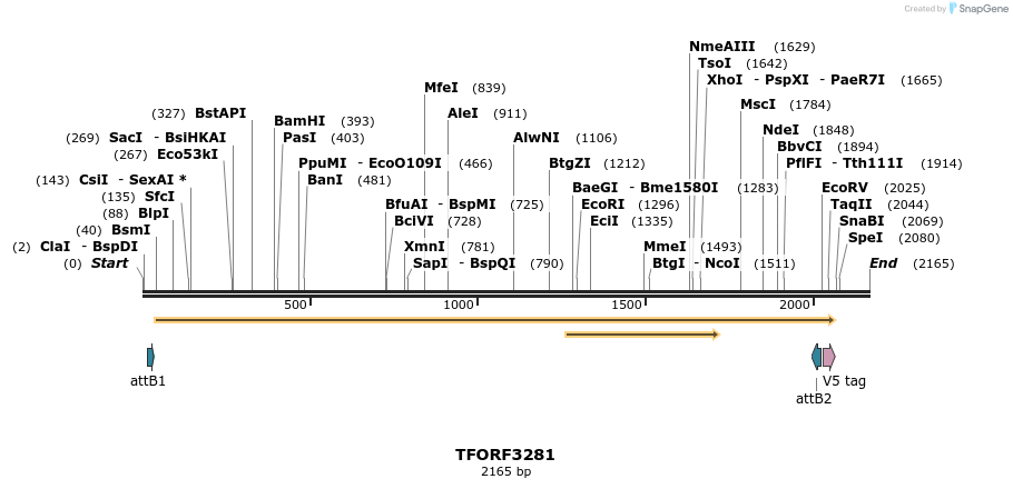 286386_map