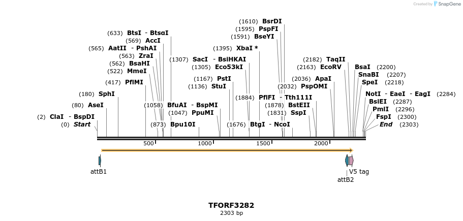 286389_map