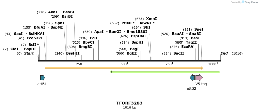 286392_map