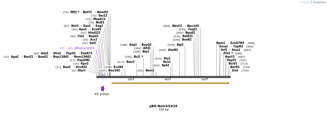 28640_map
