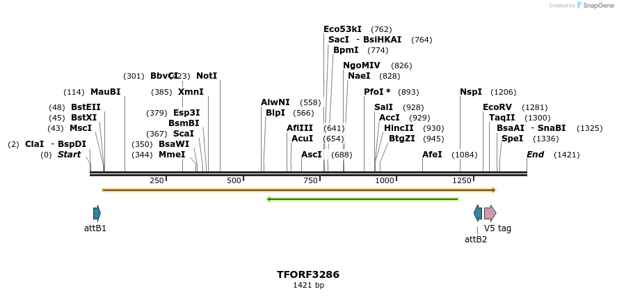 286401_map