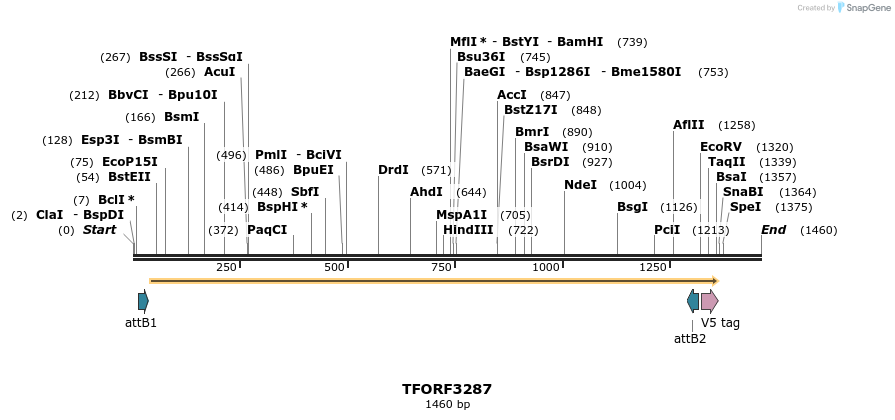 286404_map
