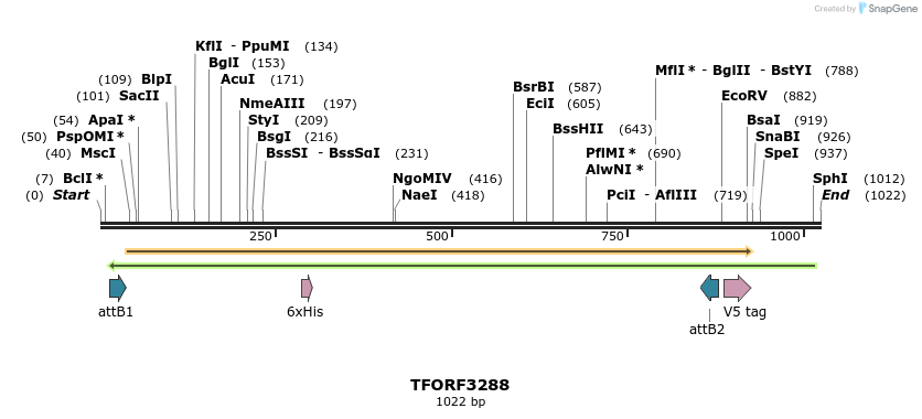 286407_map