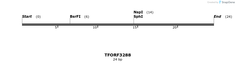 286408_map