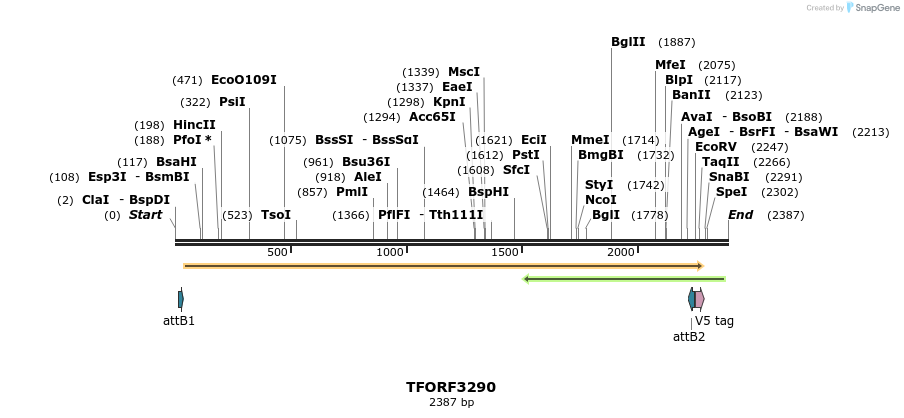 286413_map