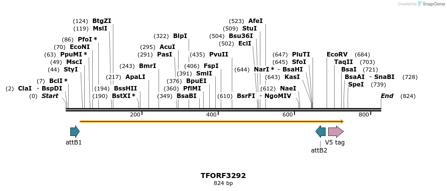 286419_map
