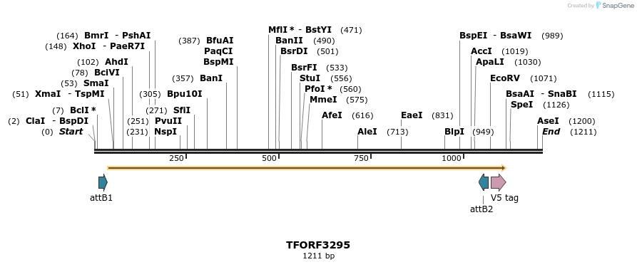 286428_map