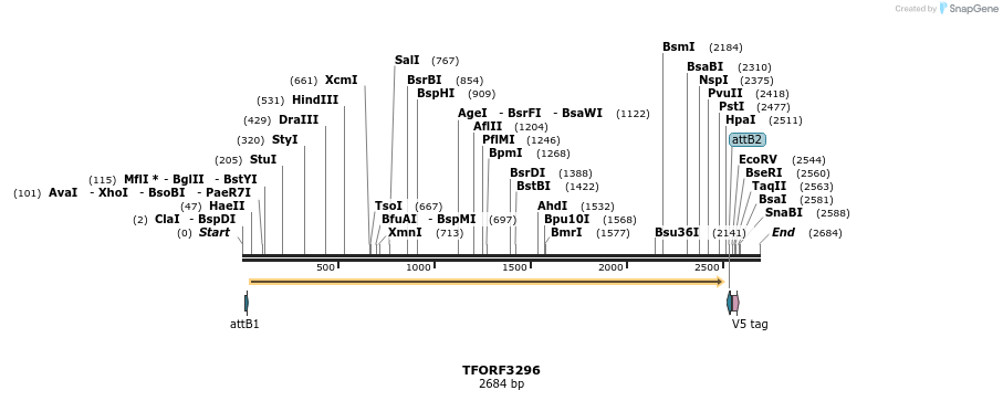 286431_map