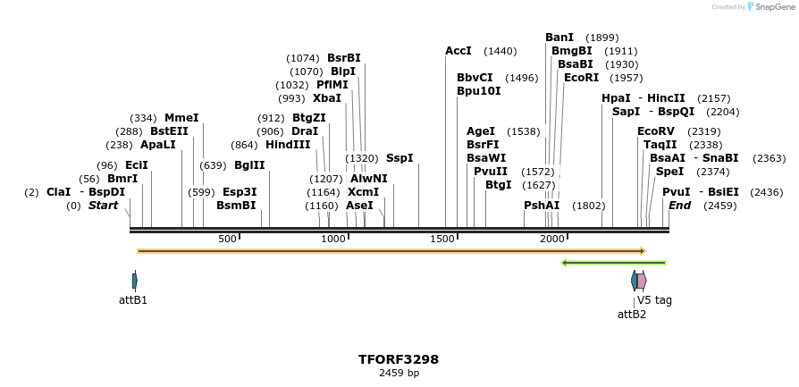 286437_map