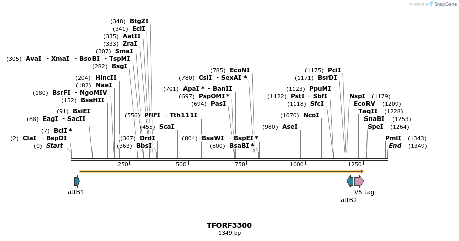 286443_map