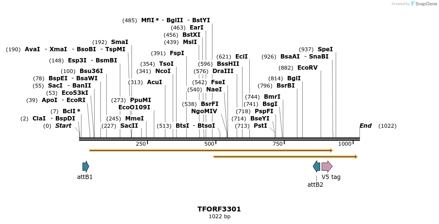 286446_map