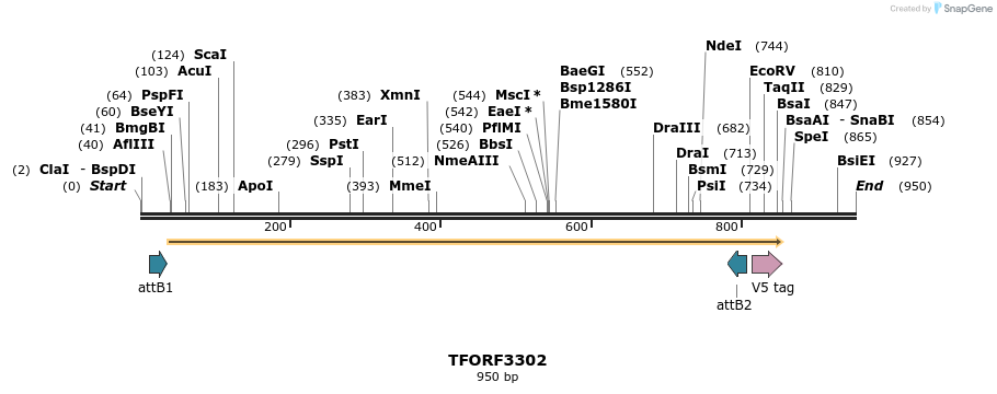286449_map