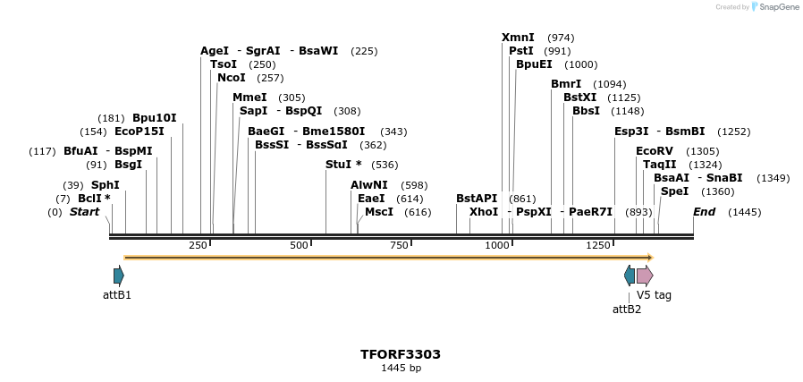 286452_map