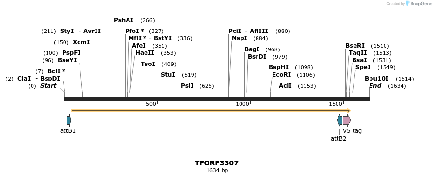 286464_map