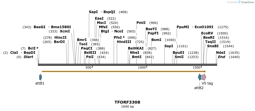 286467_map