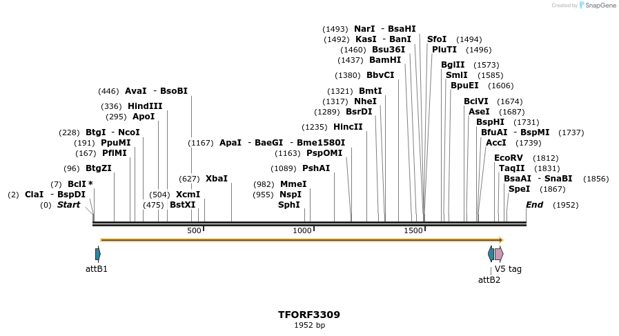 286470_map