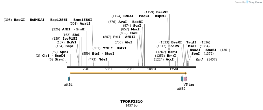 286473_map