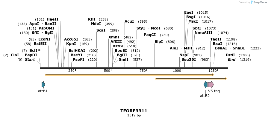 286476_map