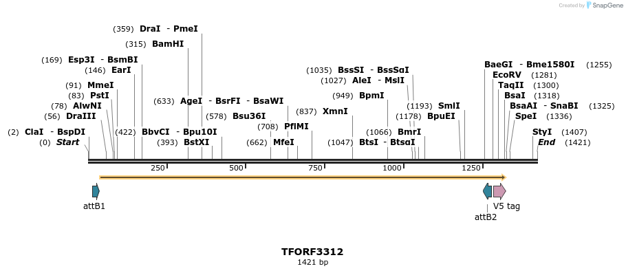 286479_map