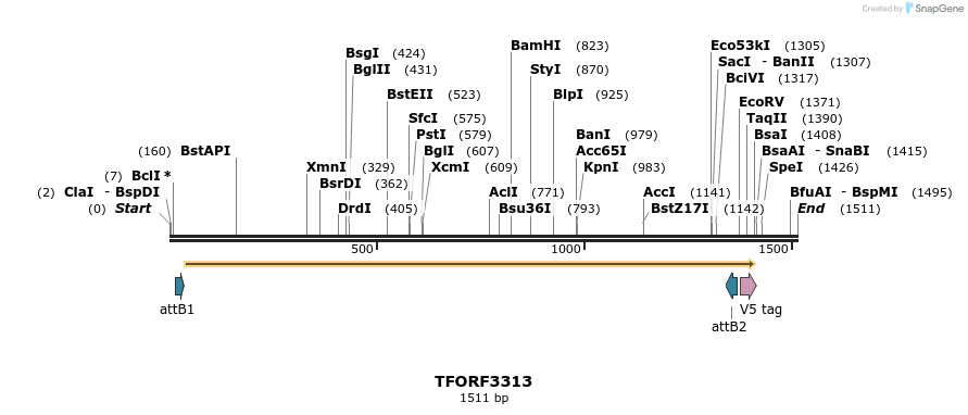 286482_map