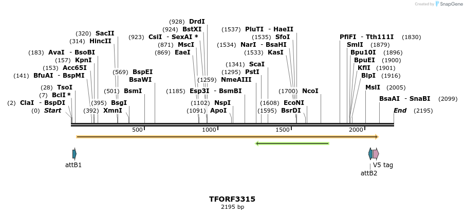 286488_map