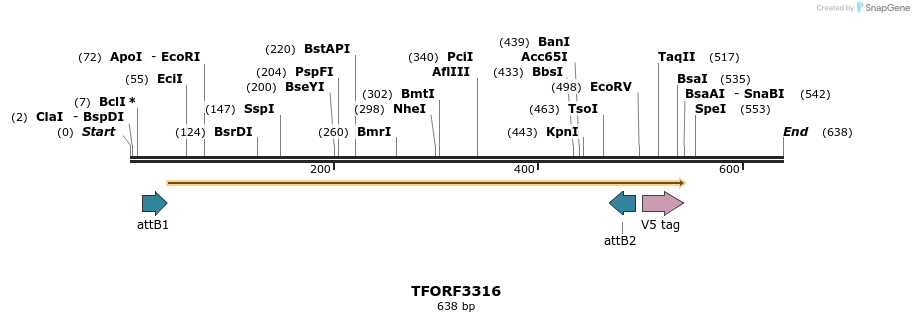 286491_map