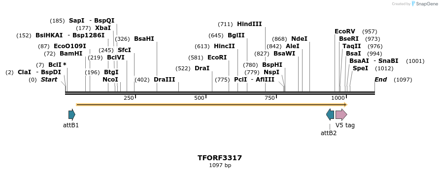286494_map