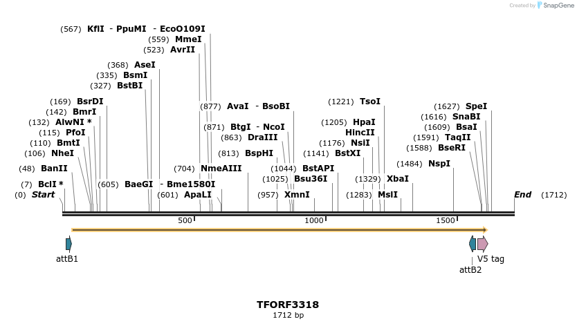 286497_map