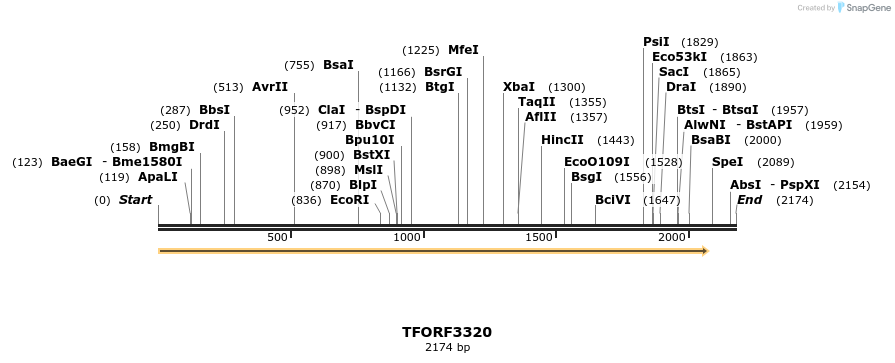286503_map