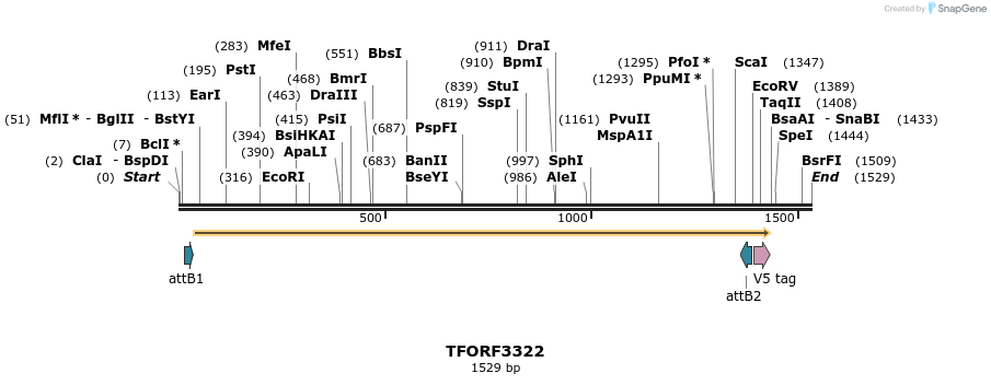 286509_map
