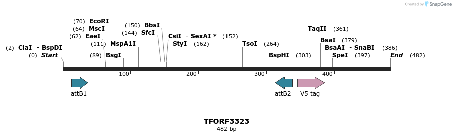 286512_map