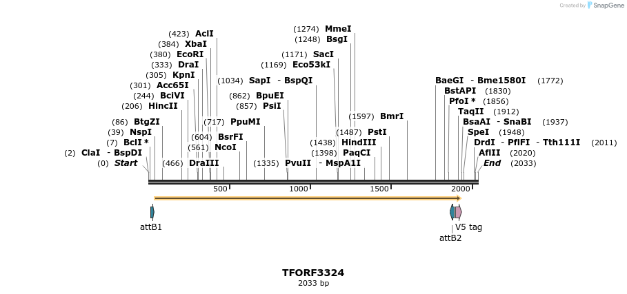 286515_map