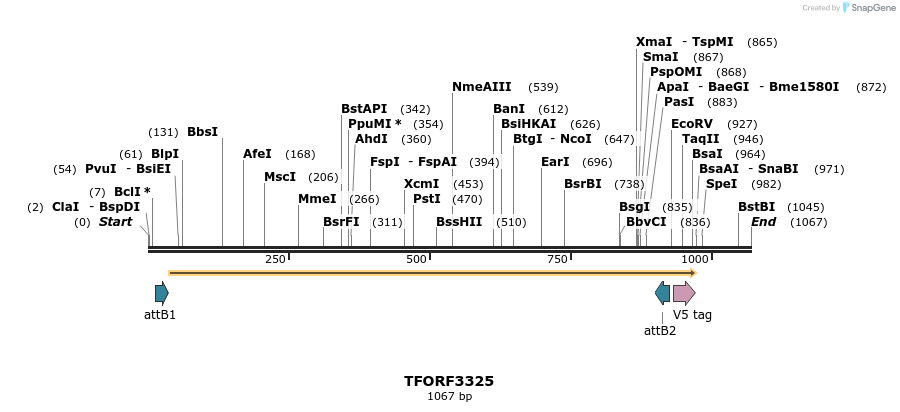 286518_map