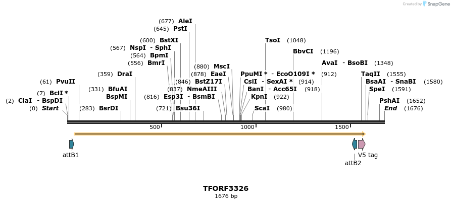 286521_map