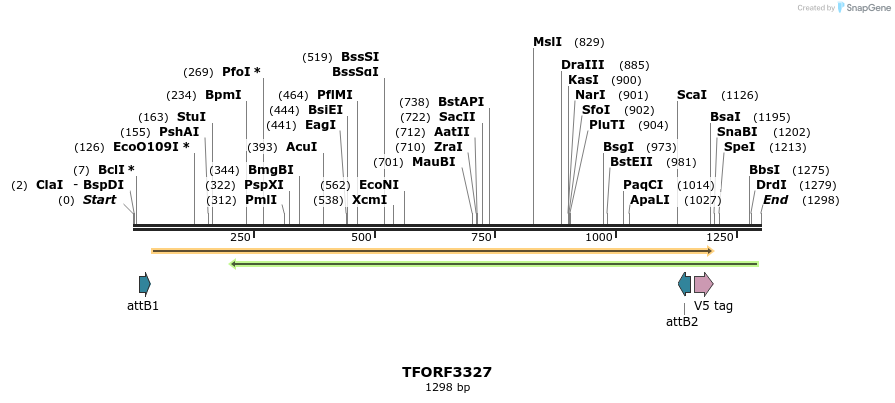 286524_map