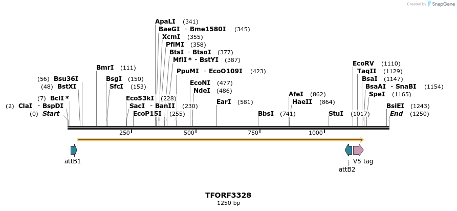 286527_map