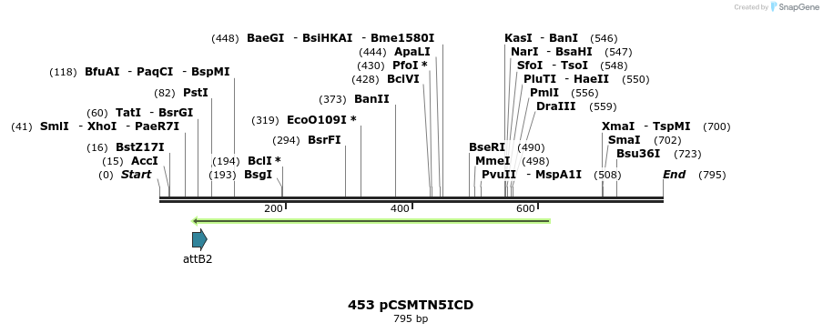 28653_map