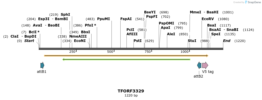286530_map