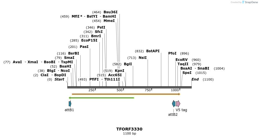 286533_map