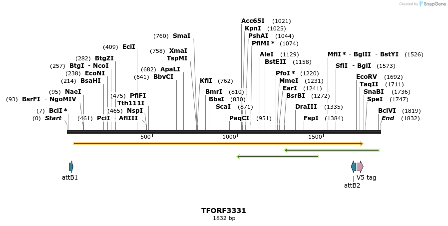 286536_map