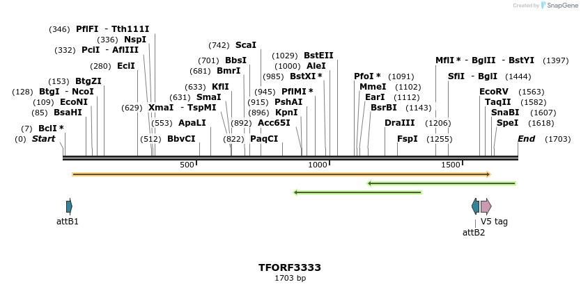 286542_map