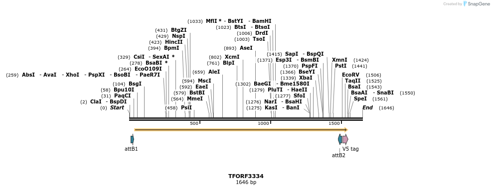 286545_map