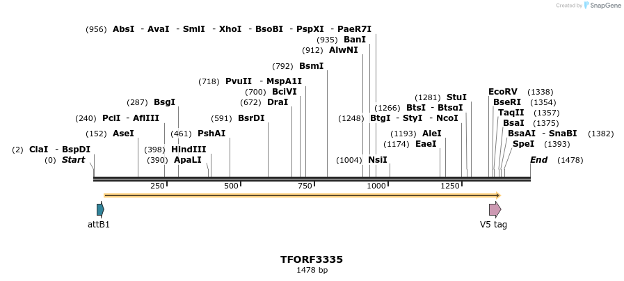 286548_map