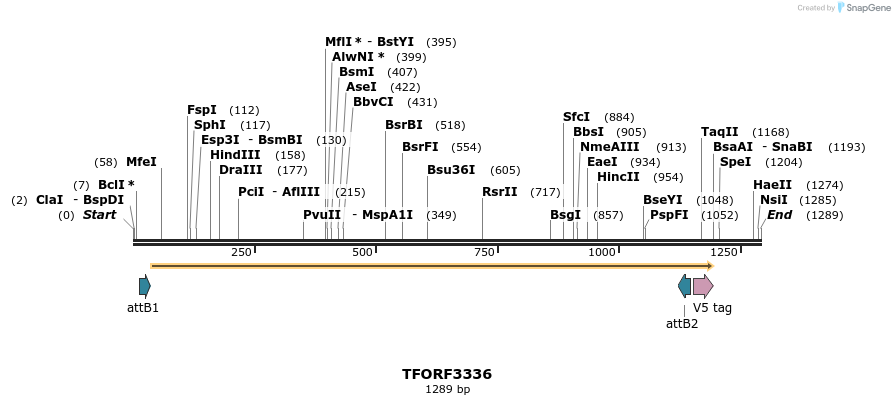 286551_map