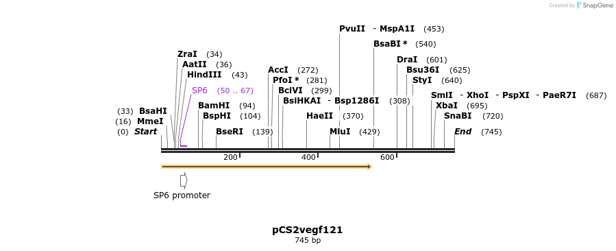 28656_map