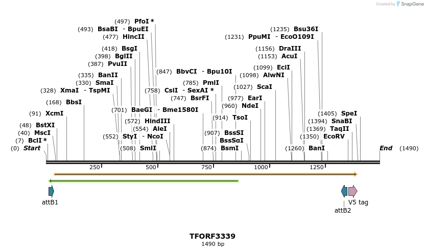 286560_map