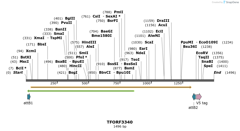 286563_map