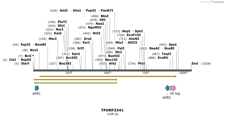 286566_map