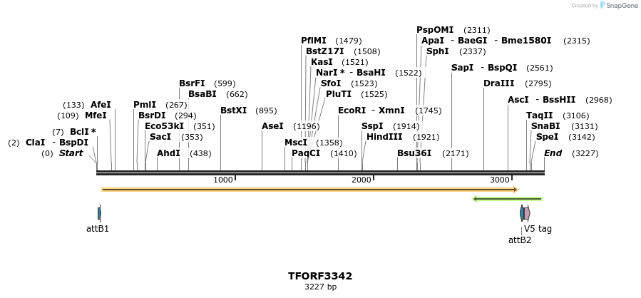 286569_map