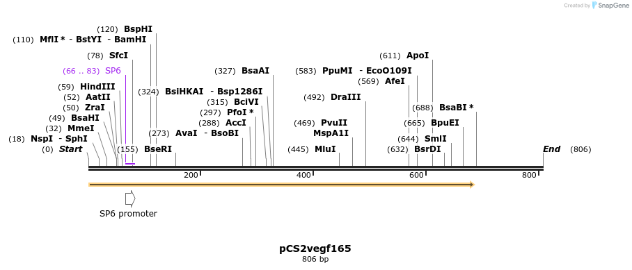 28657_map